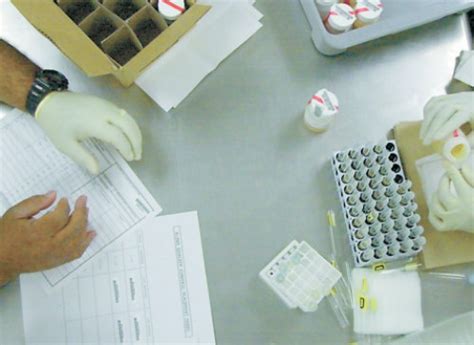 Fast delivery and quick to be dispatched! Dutch-Headshop Blog - Wie Lange ist Cannabis im Blut ...