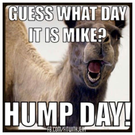 Happy Hump Day Mike Meme