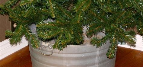 Caring For Live Christmas Tree Christmas Eve 2021