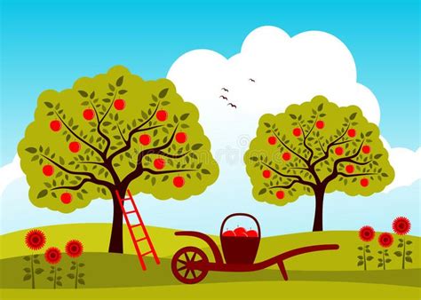 Apple Tree Orchard Stock Illustration Apple Tree Drawing Apple Tree