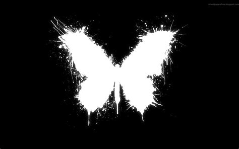 Black And White Butterfly Wallpaper Strum Wiring