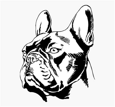 You can use these free cliparts for your documents, web sites, art projects or presentations. 3 french bulldog clipart 10 free Cliparts | Download ...