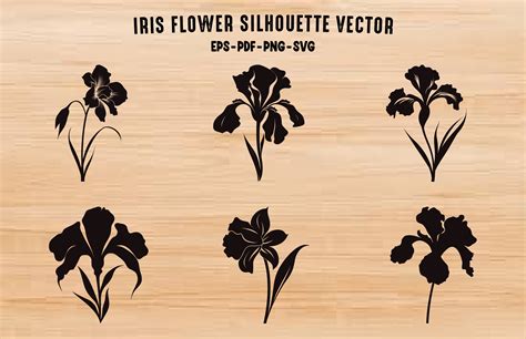 Iris Flower Silhouette Vector Set Graphic By Gfxexpertteam · Creative
