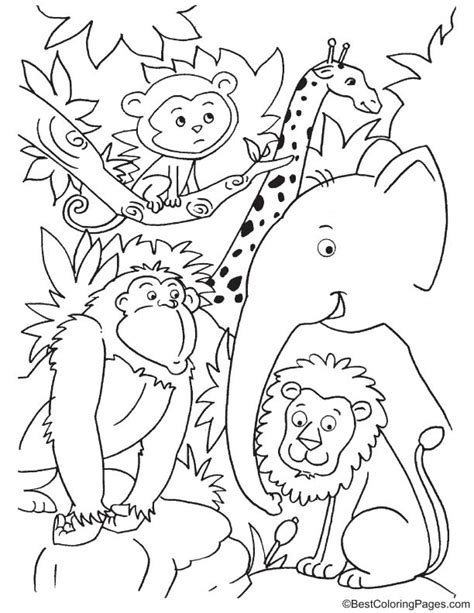 Cute Animals In Jungle Coloring Page Download Free Cute Animals In