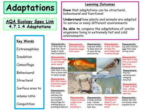 New Aqa Ecology Secification Adaptations Powerpoint And Worksheets