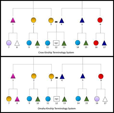 Residence And Kinship