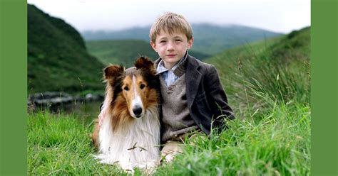 ‘lassie Makes A Welcome Return To Movies