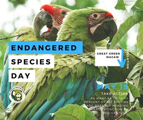 Endangered Species Day 2016