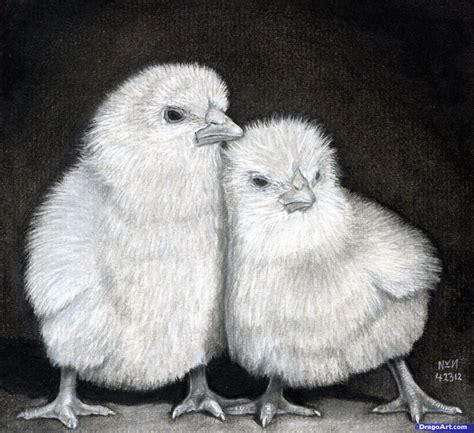 How To Draw Baby Chickens Realistic Chicks Step By Step Farm Animals