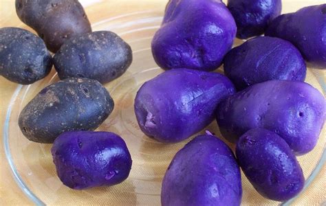 Seven Health Benefits Of Purple Potatoes Potato Grower Magazine