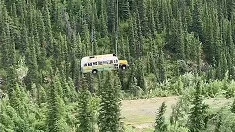 deaths prompt alaska officials to remove into the wild bus outdoor news