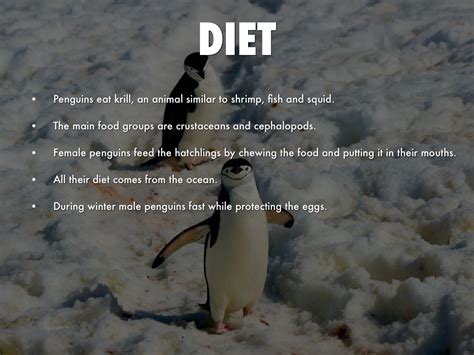 Emperor Penguin Diet