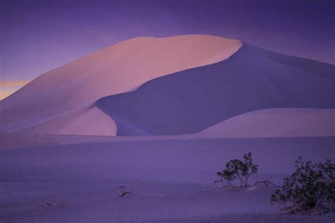 Ibex Sand Dunes Tumblr Gallery