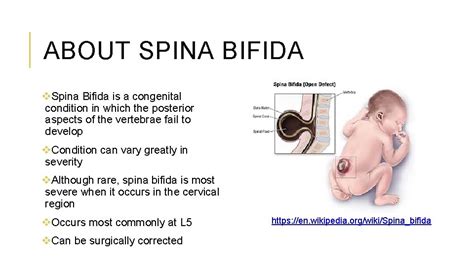 c 35 spina bifida in utero objectives describe