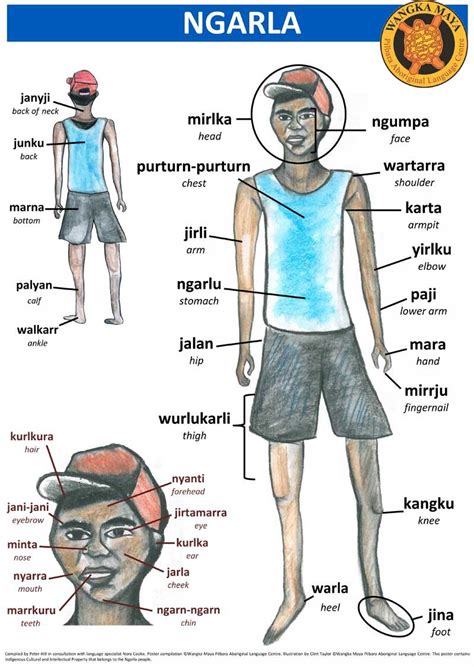 Tamil is the official language of the indian state of tamil nadu. Ngarla Body Parts Chart for Kids | Wangka Maya Pilbara ...