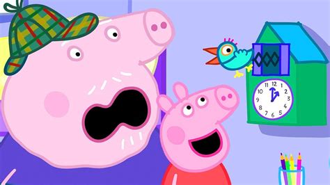 Peppa lives with her mummy and daddy and her little brother, george. 🔴 Peppa Pig Official Channel | Peppa Pig Live | Pig ...