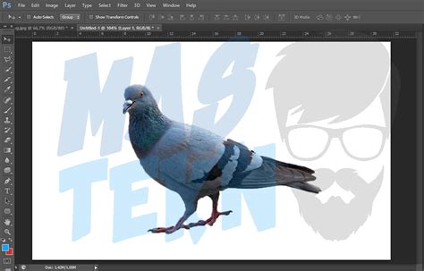 7 Cara Memotong (Crop) Gambar / Foto di Photoshop