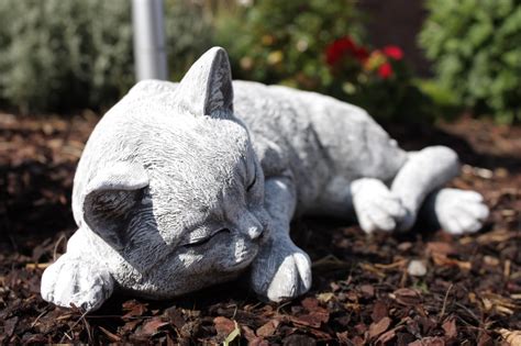 We did not find results for: Steinfigur Katze Garten Deko Steinguss kaufen auf ricardo.ch