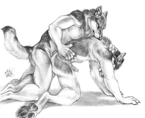 Rule 34 All Fours Anal Anal Sex Anthro Biting Blotch Canine Canine