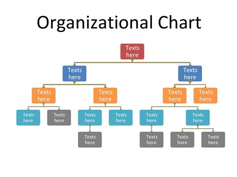 Org Chart With Pictures Template