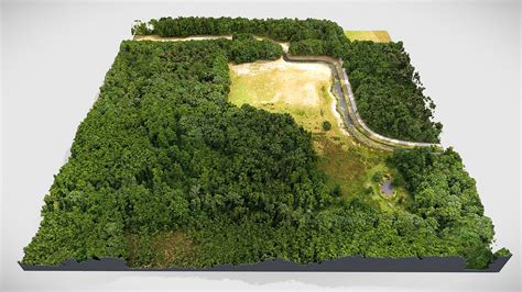 Photogrammetry 3d Scan Forest Landscape Download Free 3d Model By