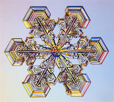 Physics The Worlds Biggest Most Perfect Snowflakes Are Growing In A