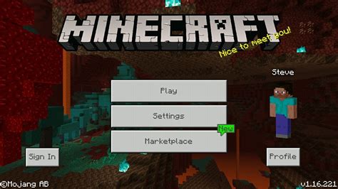 Download Minecraft 116221 Free Bedrock Edition 116221 Apk