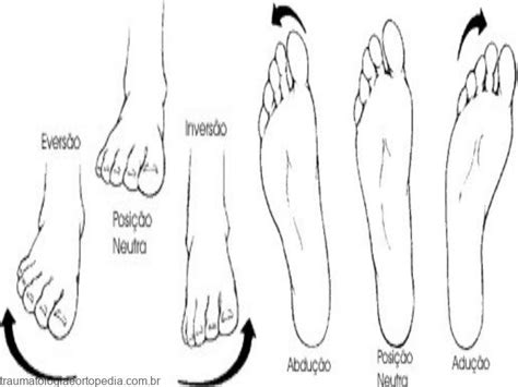 Movimentos Do Pé Traumatologia E Ortopedia