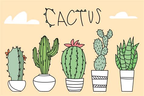 Set Of Cactus In Pots Of Different Shapes 1186738 Vector Art At Vecteezy