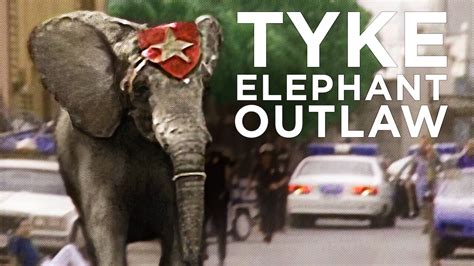 Is Tyke Elephant Outlaw On Netflix Where To Watch The Documentary