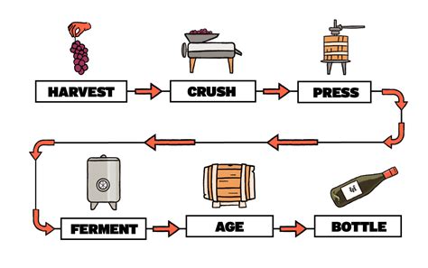 Chapter 2 How Wine Is Made 🧑🏻‍🔬