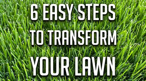 6 Easy Steps To Transform Your Lawn With Overseeding Make Your Lawn