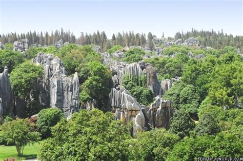 Stone Forest National Park Facts And Information Beautiful World Travel