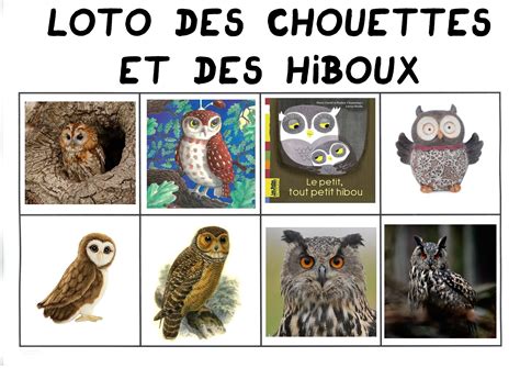 Loto des chouettes et des hiboux | Chouette, Chouette hibou, Loto