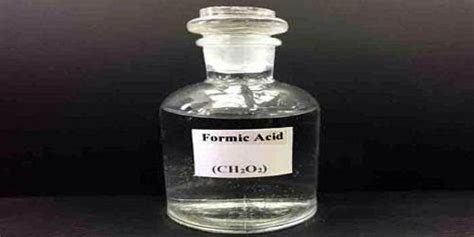 What Is Formic Acid And Where To Buy Formic Acid