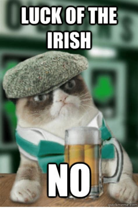 20 Best Irish Memes Youll Totally Find Funny Grumpy Cat Quotes Irish