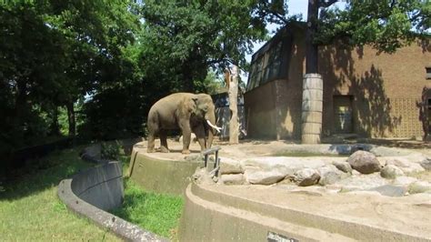 Outside the train station, there is a bus station. Zoologischer Garten Berlin - YouTube