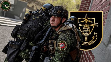 Conoce Al Cuerpo De Fuerzas Especiales “todo Por México” Youtube