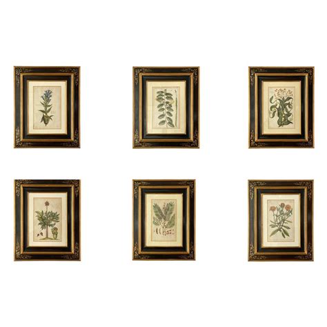 Set Of Six Framed Botanicals By Duchesne Dupin At 1stdibs