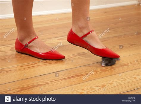 .stuffed mouse crush, barefeet crush drone, toy car crush barefoot, crushing stuff barefoot barefoot car crushing, barefoot crush plastic challenger. Woman Feet Mouse Stock Photos & Woman Feet Mouse Stock ...