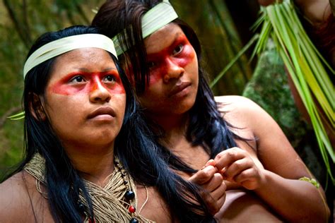 10 Fakten And Infos über Ecuador And Seinen Regenwald Teakinvestment