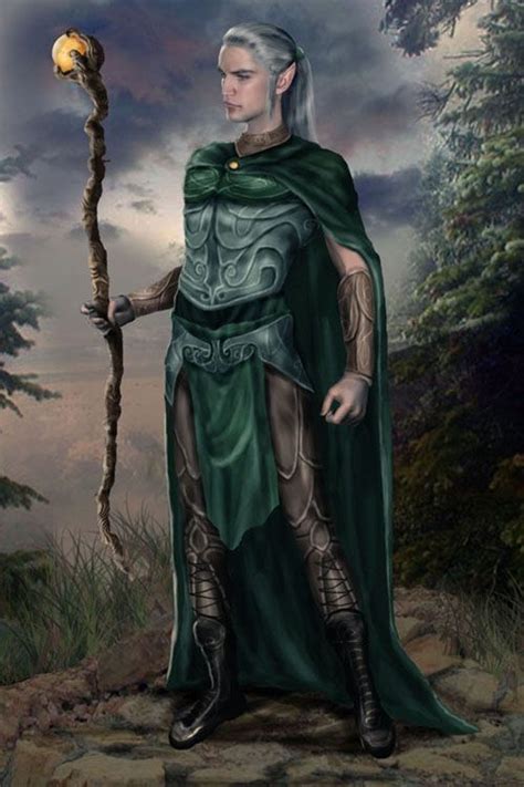 Male Elf Silvanesti Elves Fantasy Wizard Fantasy Male Fantasy World