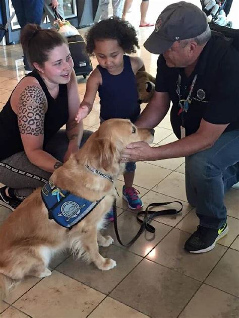 How Therapy Dogs Are Comforting People