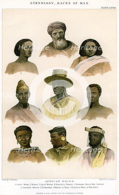 Ethnology Races Of Man 1800 1900artist R Anderson 1149618