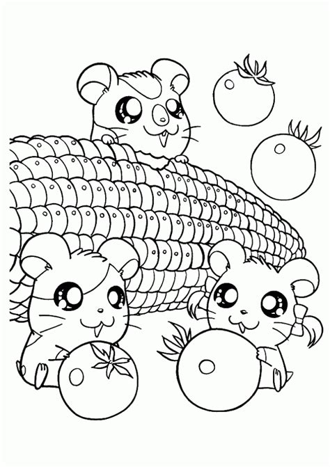 Baby hamster cute hamster coloring pages. Kumpulan gambar untuk Belajar mewarnai: Gambar Hamster ...