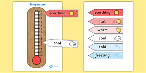 Diagram Of A Thermometer Temperature Display Poster Twinkl