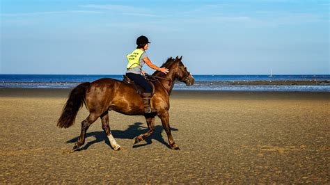 A Canter On The Beach One Of The Best Ways To Enjoy A Hors Flickr