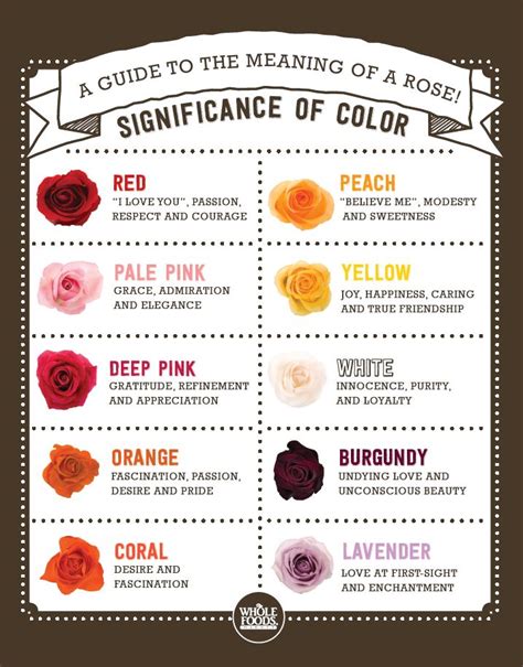 Color Meanings Of Roses Things I Like Pinterest