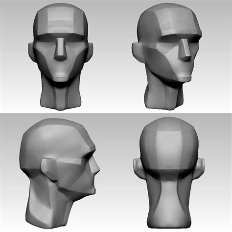 ArtStation Simplified Heads Mahan Amin Head Anatomy Anatomy For