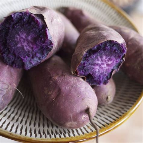 Japanese Namegata No Shifuku Murasaki Purple Satsumaimo Sweet Potato